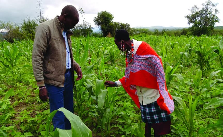 A Bus Radio interviewer speaking with a farmer beside growing crops