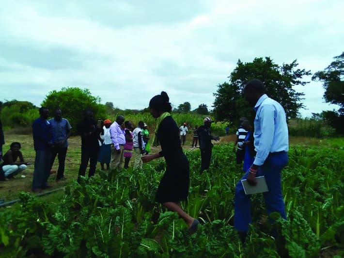 Participants visiting cultivated land during a farming learning activity